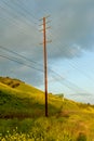 View of electrical utility pole and power lines surrounded by wild flowers. Royalty Free Stock Photo