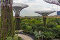 A view of the elevated walkway in the super tree grove in the Gardens by the Bay in Singapore, Asia
