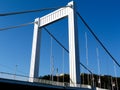 View of Elisabeth Bridge over the Danube in Budapest Royalty Free Stock Photo