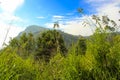 View on Ella rock behind the lush green grass, Ella, Sri Lanka. Early morning Royalty Free Stock Photo