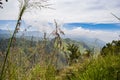 View from Ella rock over little adam`s peak in Sri Lanka Royalty Free Stock Photo