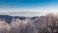 View from the ElsÃÂ¤ser Belchen to the Swiss Alps