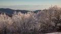 View from the ElsÃÂ¤ser Belchen to the Swiss Alps