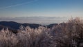 View from the ElsÃÂ¤ser Belchen to the Swiss Alps