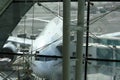 View of Emirates Airlines airplane parking on apron viewed from waiting lounge inside the terminal at Dubai Intenational Airport Royalty Free Stock Photo