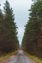 view of empty autumn road Royalty Free Stock Photo