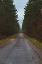 view of empty autumn road Royalty Free Stock Photo