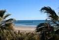 View of the empty beach on the sea with palm trees. View on coastline from to side Playa Puebla de Farnals, Departure Valencia. Royalty Free Stock Photo