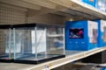 View of empty glass aquariums on store shelf Royalty Free Stock Photo