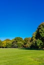 View of empty Great Lawn of Central Park under clear blue sky, in New York City, USA Royalty Free Stock Photo