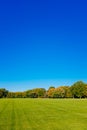 View of empty Great Lawn of Central Park under clear blue sky, in New York City, USA Royalty Free Stock Photo