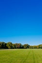 View of empty Great Lawn of Central Park under clear blue sky, in New York City, USA