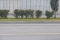 view of the empty road scene, highway in the city, trees and bushes, curb stone and white road markings, minimalism in Royalty Free Stock Photo