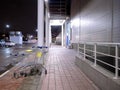 View of empty shopping carts outside the store at night. Royalty Free Stock Photo