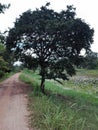 A view of an enclosed traditional lake and a road.