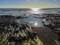 The rocks of the wavecut platform at Bexhill, East Sussex, England Royalty Free Stock Photo