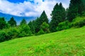 View enroute to Prashar Lake trekk trail. It is located at a height of 2730 m above sea level surrounded by lesser himalayas peaks Royalty Free Stock Photo