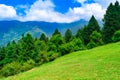 View enroute to Prashar Lake trekk trail. It is located at a height of 2730 m above sea level surrounded by lesser himalayas peaks Royalty Free Stock Photo