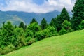 View enroute to Prashar Lake trekk trail. It is located at a height of 2730 m above sea level surrounded by lesser himalayas peaks Royalty Free Stock Photo