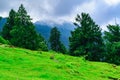 View enroute to Prashar Lake trekk trail. It is located at a height of 2730 m above sea level surrounded by lesser himalayas peaks Royalty Free Stock Photo