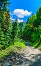 Prashar Lake trekk trail Royalty Free Stock Photo