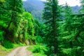 View enroute to Prashar Lake trekk trail. It is located at a height of 2730 m above sea level surrounded by lesser himalayas peaks Royalty Free Stock Photo