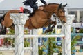 View on an equestrian show jumping competition Royalty Free Stock Photo