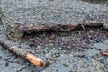 Eroding Boat Ramp 2 Royalty Free Stock Photo