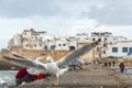 View on Essaouira