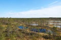 View of estonian Viru Raba bog landscape with several small lakes and a small coniferous forest of spruces and pines with a wooden