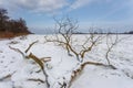 A view of the the Vistula river in winter. Poland