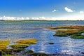 The view during evening before sunset at Pelican Lagoon in American River on Kangaroo Island in Australia. Royalty Free Stock Photo