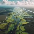 View of the Everglades in Florida, USA