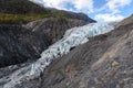 View of Exit Glacier, Harding Icefield, Kenai Fjords National Park, Seward, Alaska, United States