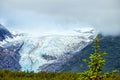 View of Exit Glacier near Seward Alaska USA on Kenai Peninsula