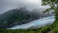 View of Exit glacier, Alaska Royalty Free Stock Photo