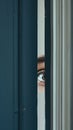 Subtle view of an eye through a crack in a dark blue door, representing vigilance and caution in domestic violence. Royalty Free Stock Photo