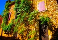 View on facade of mediterranean French natural stone house with pink window shutters, wood door and vine plant climbing up wall