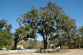 The view at Fairview-Riverside State Park Royalty Free Stock Photo