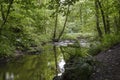 View of the Fairy Glen Waterfalls river