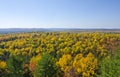 View of Fall Colors in Algonquin Park Ontario Royalty Free Stock Photo