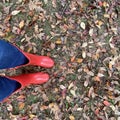 View of fall leaves and a person`s red rubber boots with Jeans. Royalty Free Stock Photo