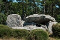 The famous dolmen megalith in Carnac -  Britany - France view of the famous dolmen megalith in Carnac -  Britany - France Royalty Free Stock Photo