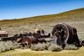 View of The Famous Ghost Town Of Bodie, California Royalty Free Stock Photo
