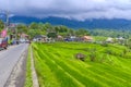 Jatiluwih Rice Terraces in Indonesia