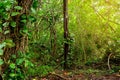 View of the famous Kalalau trail along Na Pali coast of the island of Kauai Royalty Free Stock Photo