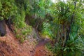 View of the famous Kalalau trail along Na Pali coast of the island of Kauai Royalty Free Stock Photo