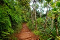 View of the famous Kalalau trail along Na Pali coast of the island of Kauai Royalty Free Stock Photo