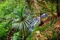 View of the famous Kalalau trail along Na Pali coast of the island of Kauai Royalty Free Stock Photo