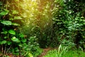 View of the famous Kalalau trail along Na Pali coast of the island of Kauai Royalty Free Stock Photo